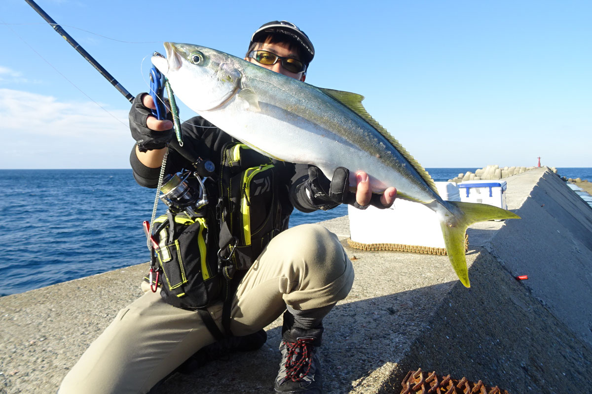 灯台のある防波堤で、釣り上げたブリを手に持つアングラー