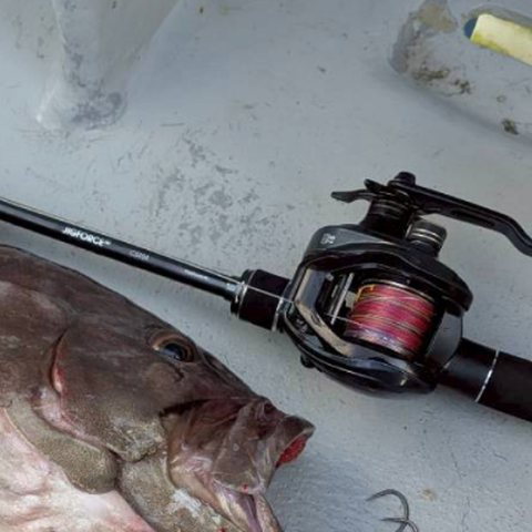 釣り上げた魚とテイルウォークのベイトリール