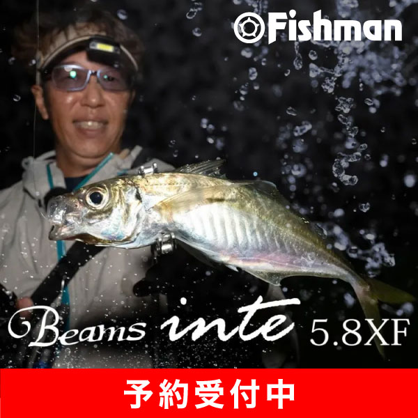 ビームスインテ5.8X