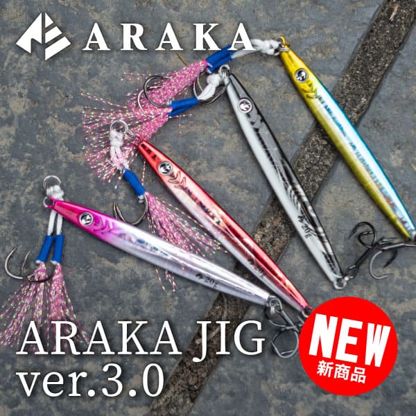 アラカジグ3.0