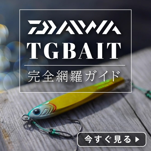 TGベイト