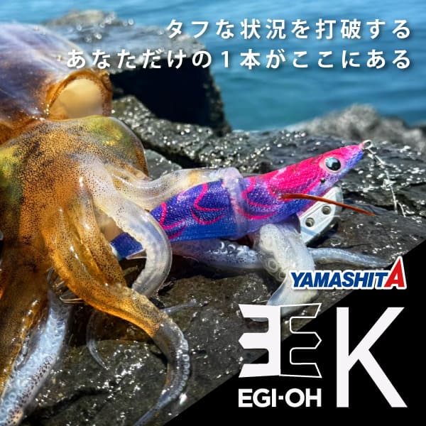 エギ王K