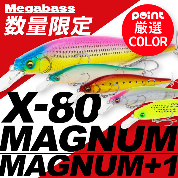 X80マグナム