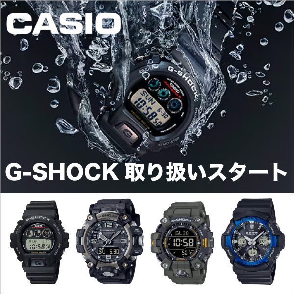 CASIO