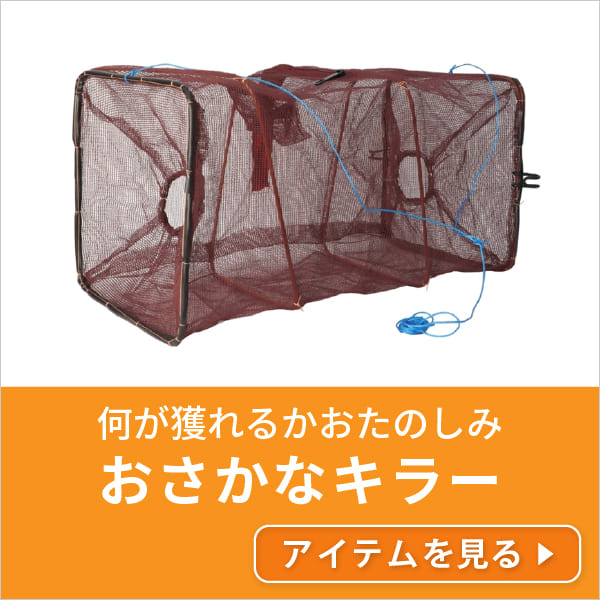 おさかなキラー
