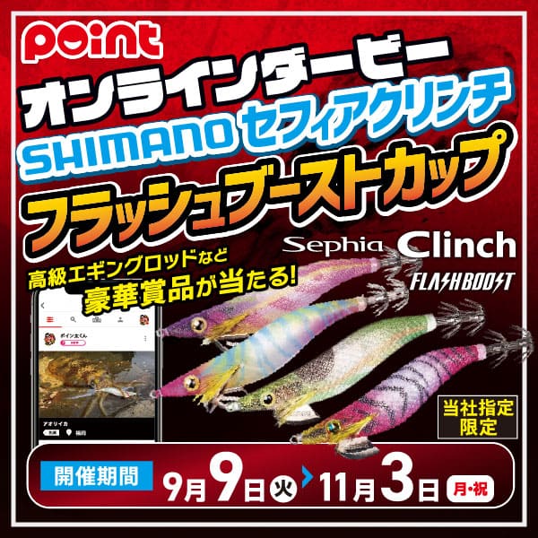 フラッシュブーストカップ