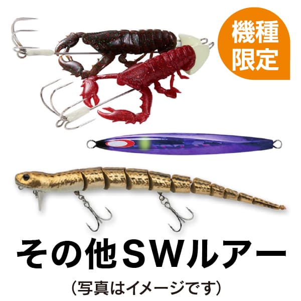 その他SWルアー