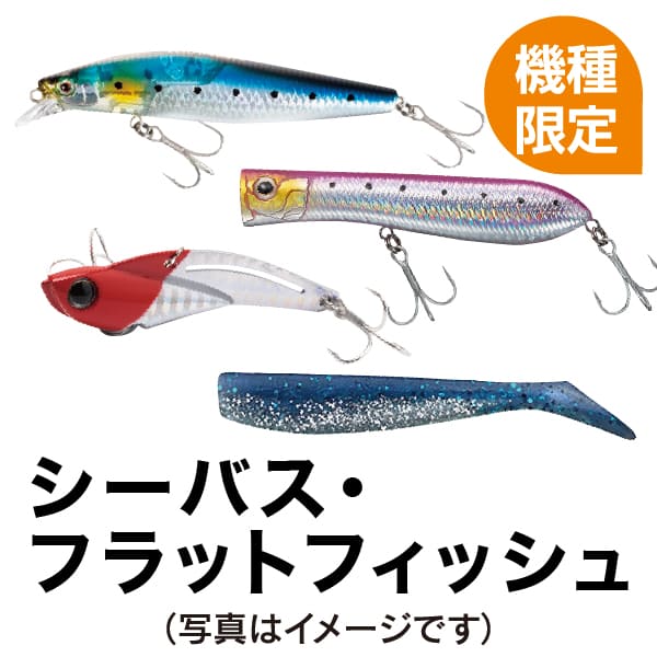 シーバス･フラットフィッシュ