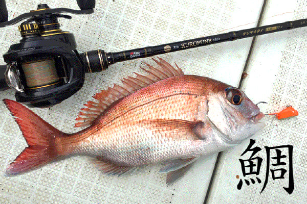 鯛