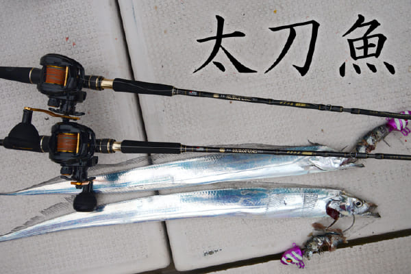 太刀魚