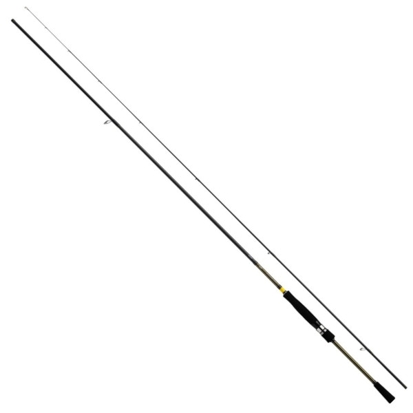 22 アユイング X 2026年追加モデル