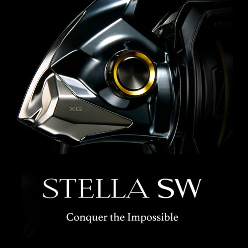 2025/2026新製品】予約受付中 - ステラSW・カルカッタコンクエストDC