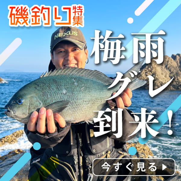 磯