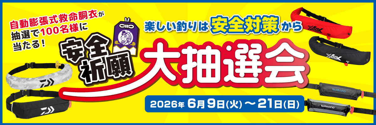 説明