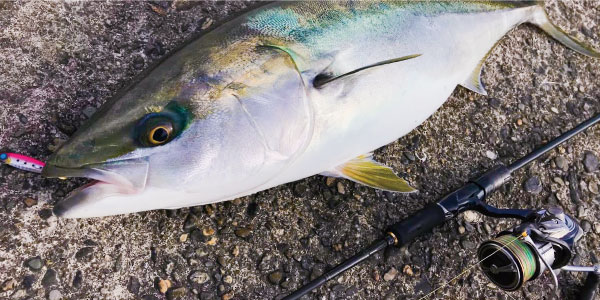 ショアジギング