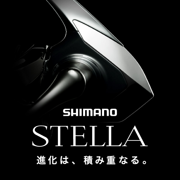 ステラページ Amazon.com: Sea-Doo New OEM Front Storage Bin Kit, Spark