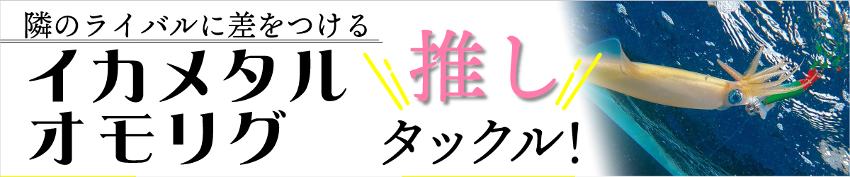イカメタルオモリグ推しタックル