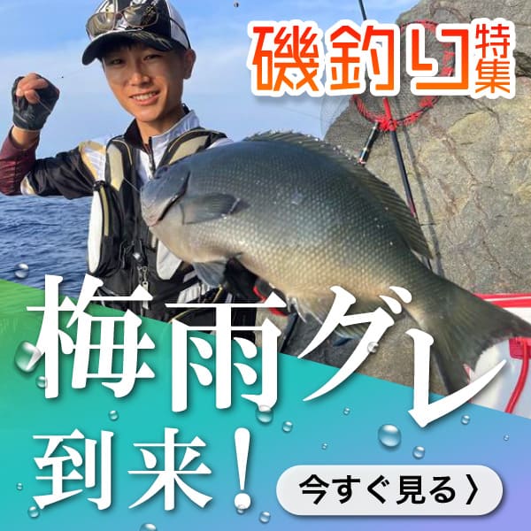 磯