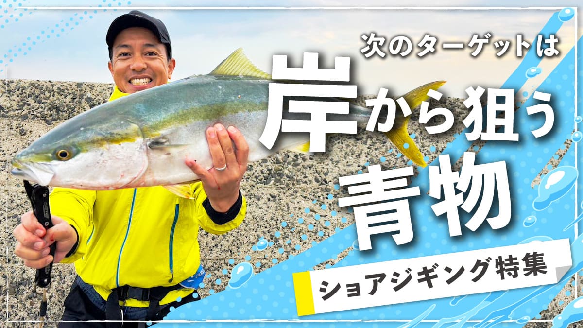 ショアジギング特集 - 釣具のポイント 【公式】オンラインストア