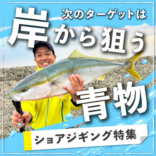 ショアジギング特集