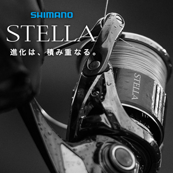 ステラ