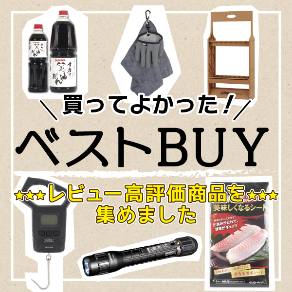買ってよかったベストbuy