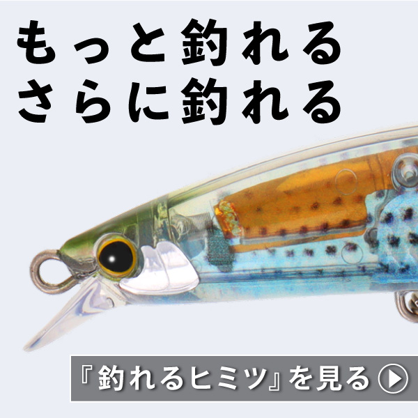 もっと釣れる
