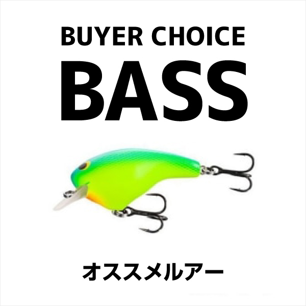 バイヤーチョイス_バス