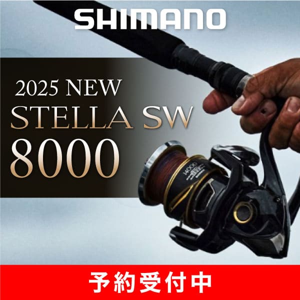 ステラSW8000