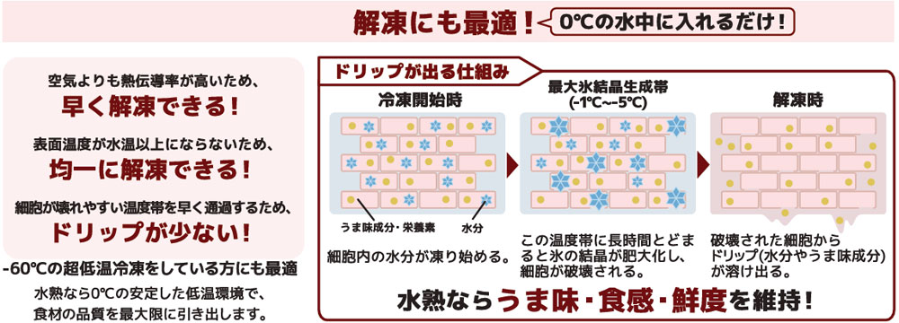 ドリップが出る仕組み：解凍時の細胞変化図