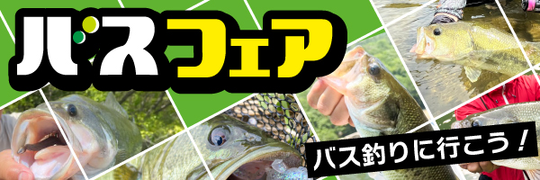 バスフェア