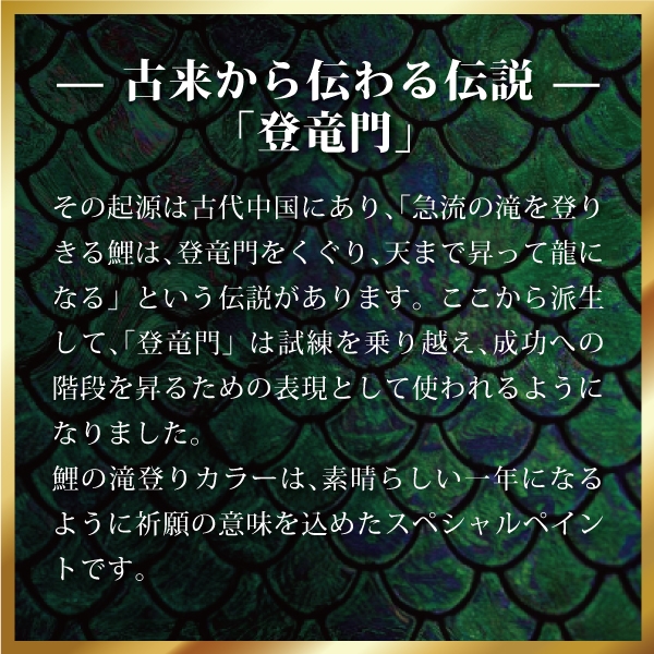 メガバス ブラックバス福袋【福袋 2024】人気ブランド福袋