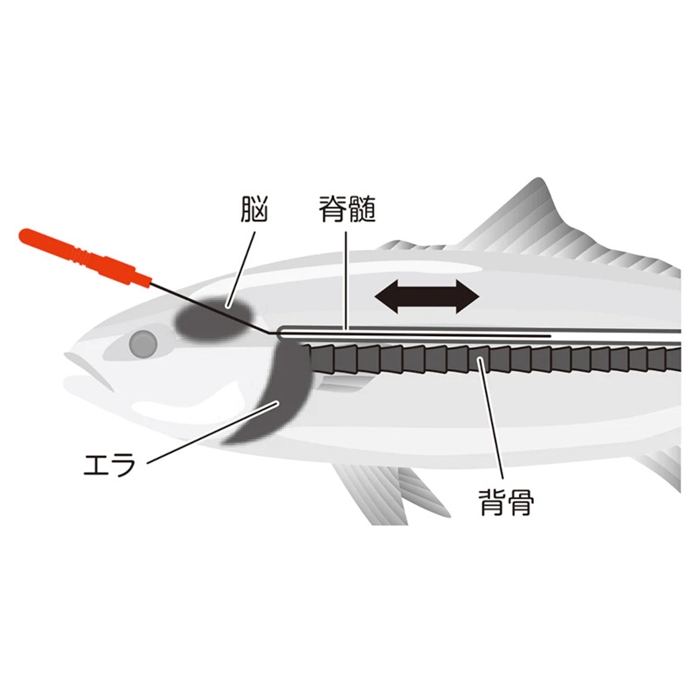 ベルモント(Belmont) 扱お MP FISH PICK 一撃 神経締め