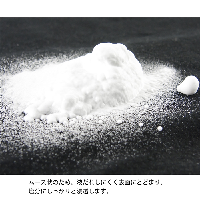 リアルメソッド ソルトウォッシュムース REAL METHOD: 釣り用品 釣り具の通販なら｜釣具のポイント 【公式】オンラインストア