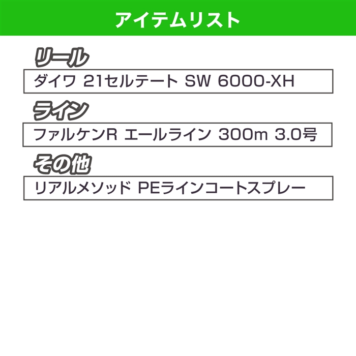 ダイワ セルテートSW 6000-XH【福袋 2023】O-22