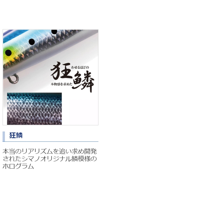 シマノ エクスセンス サイレントアサシン 129S フラッシュ