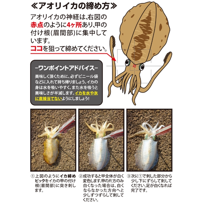 リアルメソッド フォールディングエギングツール イカギャフ付 ブラック Real Method ゆうパケット ブラック エギ イカ タコ用品 釣り具の通販なら 釣具のポイント 公式 オンラインストア