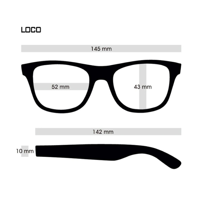 ダンシェイディーズ LOCO Black soft×Light black PREMIUM LENS - 釣具
