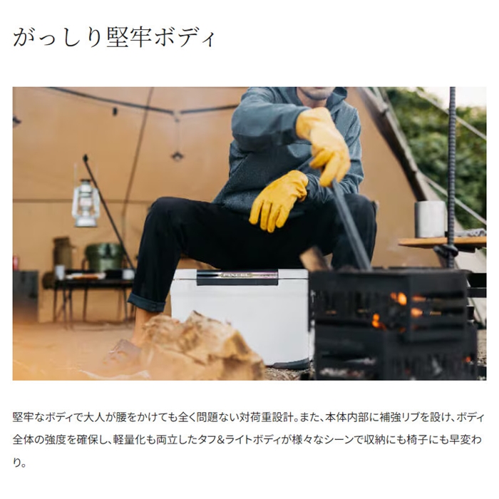 シマノ フィクセル ライトII 22L ホワイト NF-522V クーラー