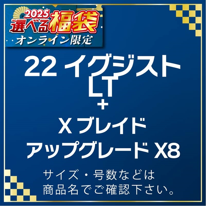 A02-033401 22イグジストLT2500S & XB アップグレードX8 200m 0.6号 #25選べる福袋