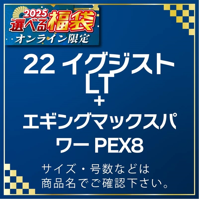 A02-035001 22イグジストLT2500S & アバニエギングMP PEX8 150M 0.6号 #25選べる福袋