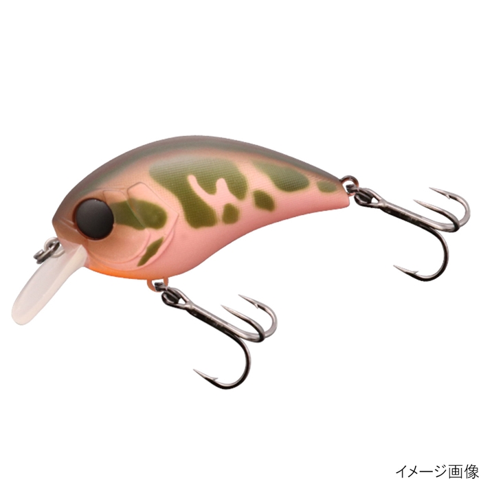 ジャッカル マッシュボブ 50SR カワシマ膨張キラー【ゆうパケット】(カワシマ膨張キラー): ルアー 釣り具の通販なら｜釣具のポイント  【公式】オンラインストア
