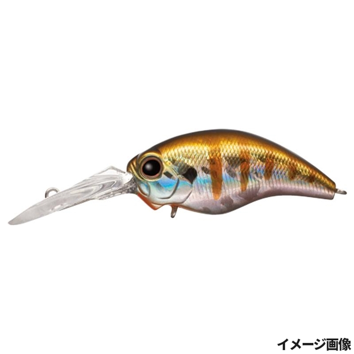 釣具の評価 | 釣具のポイント