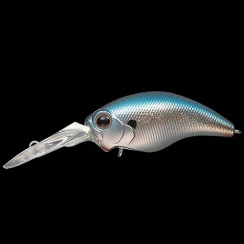 釣具の評価 | 釣具のポイント