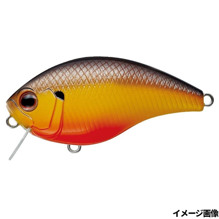 エバーグリーン(EVERGREEN) エギスナップ #2 LitVmnhACk, 釣り - bazarcharm.ir