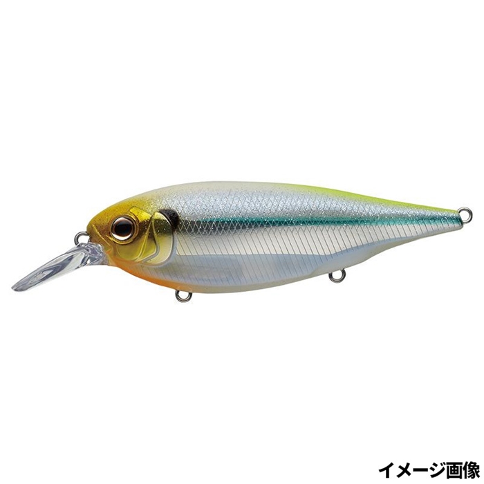 釣具の評価 | 釣具のポイント