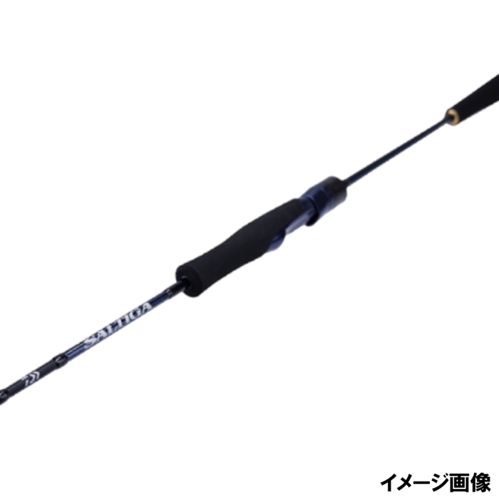 Daiwa 21 Saltiga SLJ 510LS-SMT – JDM TACKLE HEAVEN