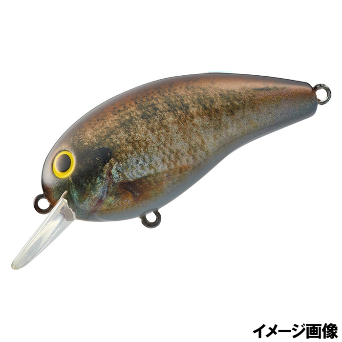 ダイワ デカピーナッツii Ssr リアルブルーギル ゆうパケット リアルブルーギル ルアー 釣り具の通販なら 釣具のポイント 公式 オンラインストア