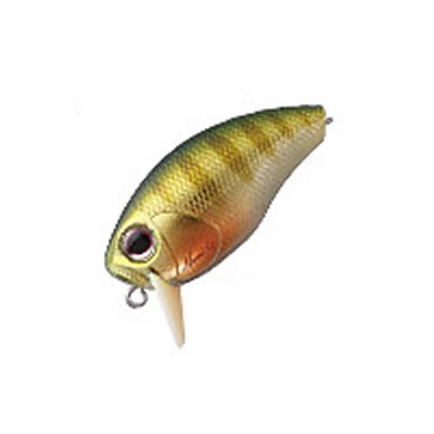 釣具の評価 | 釣具のポイント