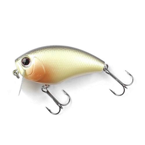 釣具の評価 | 釣具のポイント